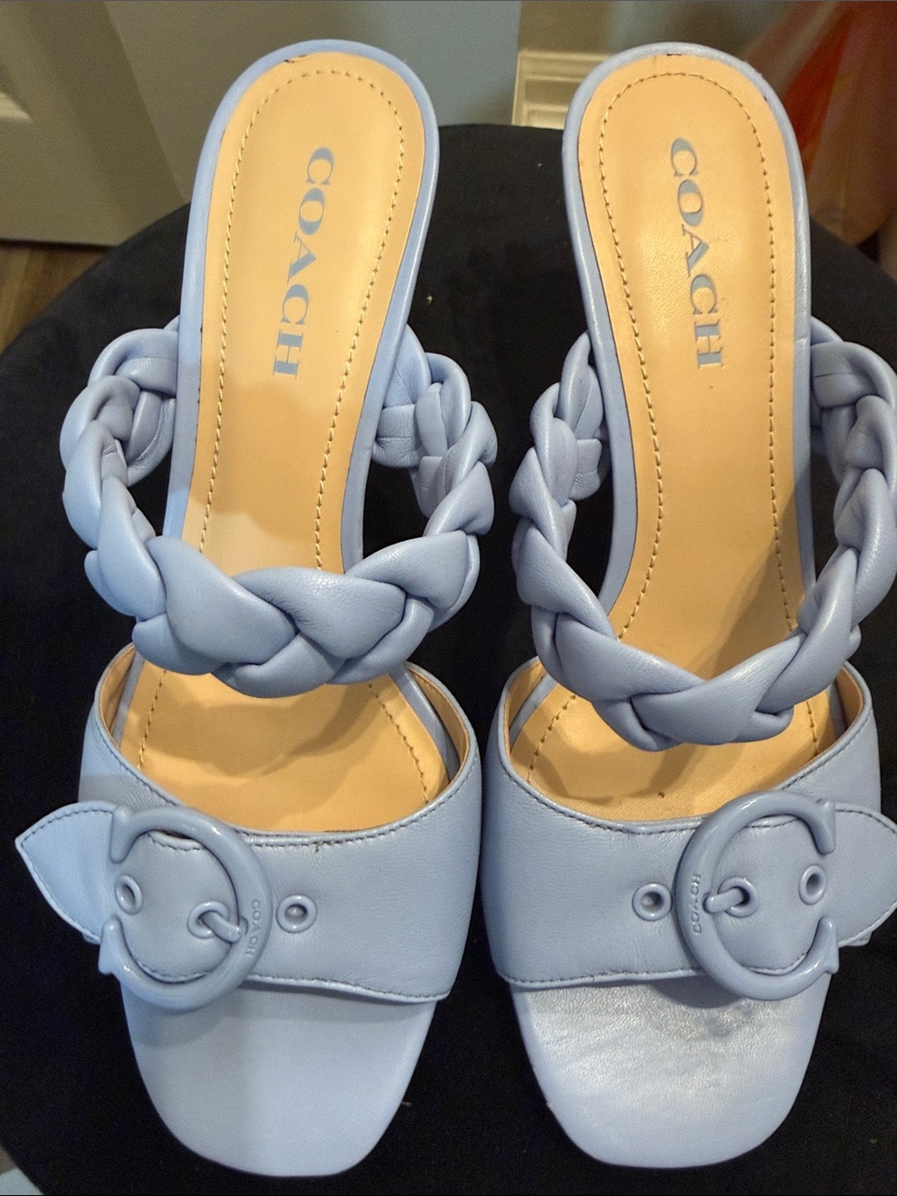 Coach Braided Strap Slide Sandals in Light Blue. No box. Never worn outside.